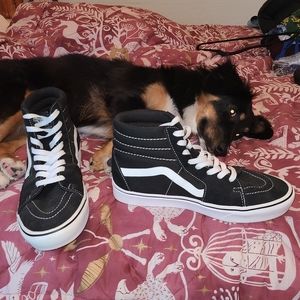 Vans SK8 hi Comfy Cush
